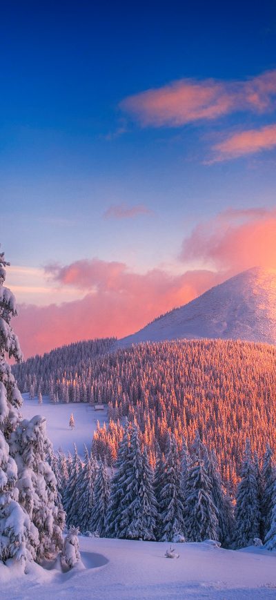 Fond d'écran iPhone Snowy Pine Trees And Mountains 4k