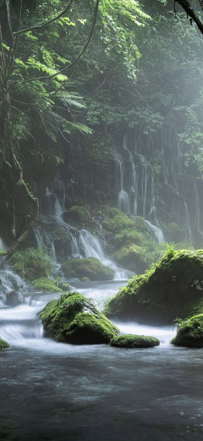 Fond d'écran iPhone Spring Waterfall Stone Fog Mist Green Forest 8k