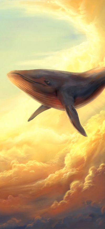 Fond d'écran iPhone Whale In The Clouds
