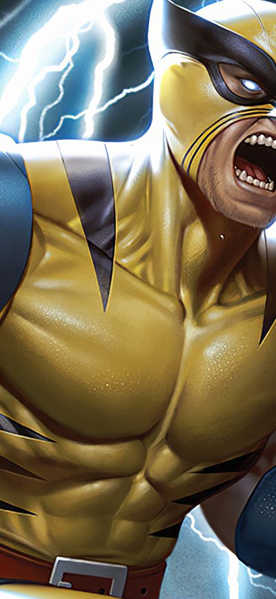 Fond d'écran iPhone Wolverine 4karts