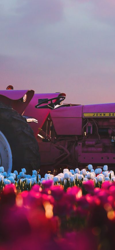 Fond d'écran iPhone John Deere Tractor In Flower Farm 4k