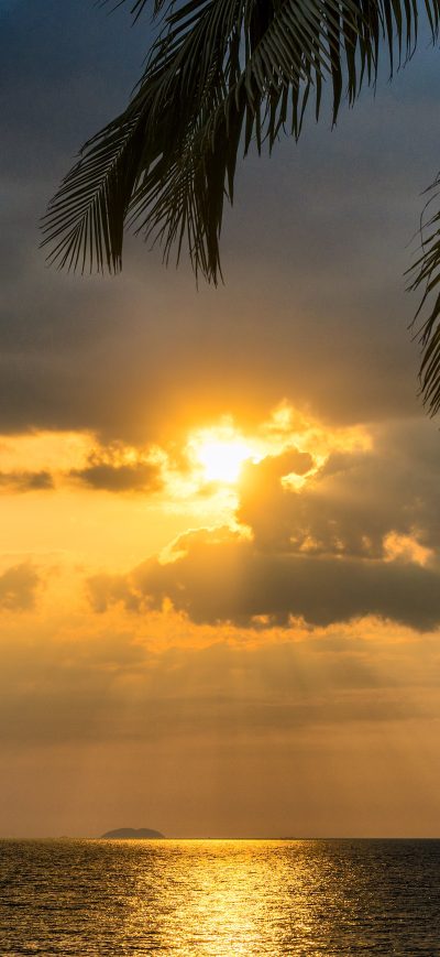 Fond d'écran iPhone Tropical Palm Tree Beside Sunset Ocean 5k