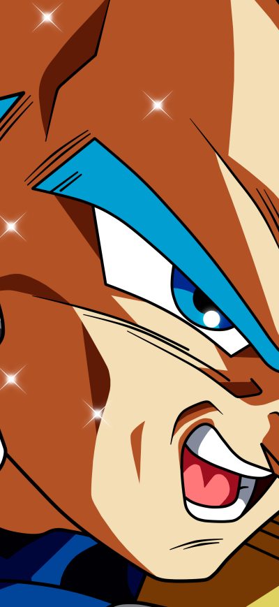 Fond d'écran iPhone Dragon Ball Super 5k Anime