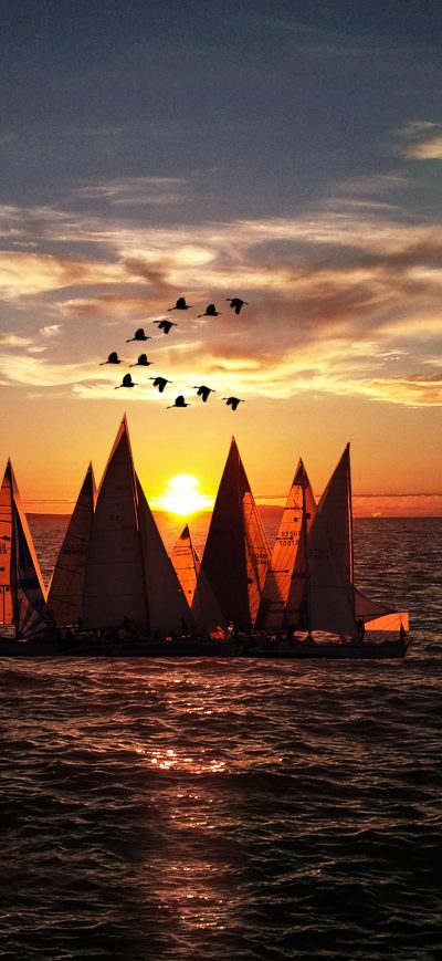 Fond d'écran iPhone Sailboats Seascape Landscape