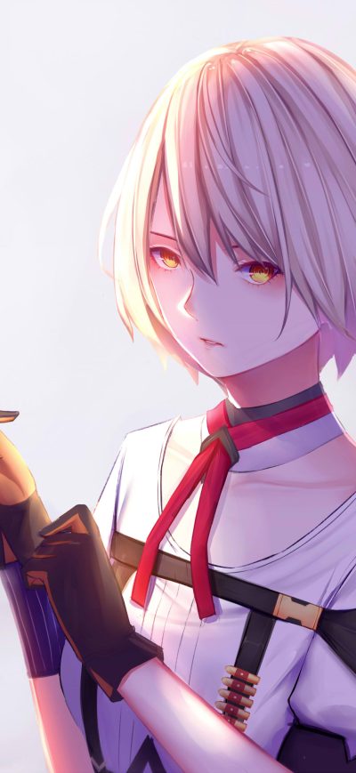 Fond d'écran iPhone Vector Girls Frontline