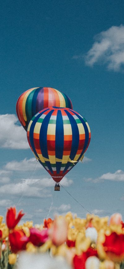 Fond d'écran iPhone Hot Air Balloons White Red Yellow Tulip Flowers