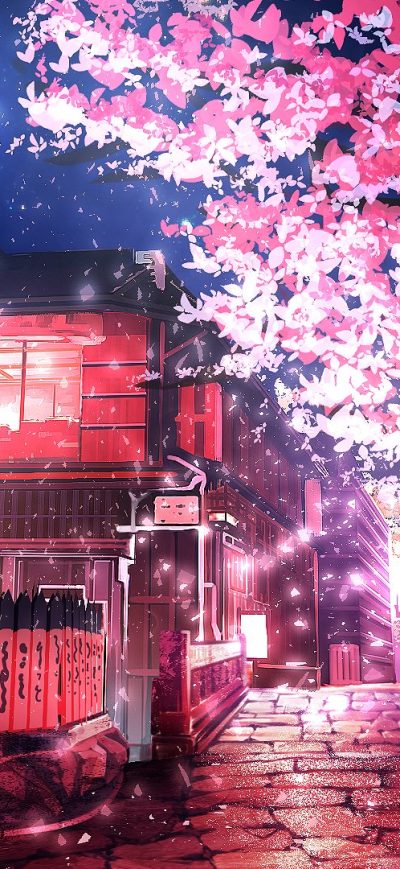 Fond d'écran iPhone Cherry Tree Anime