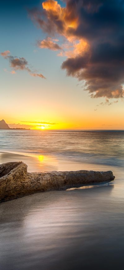 Fond d'écran iPhone Driftwood On Beach At Sunset On North Shore Of Kauai 8k