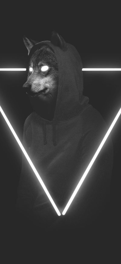 Fond d'écran iPhone Hoodie Dude