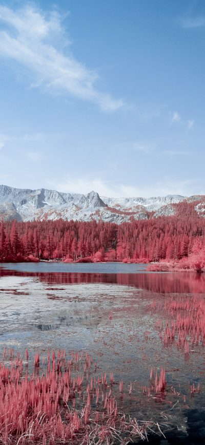Fond d'écran iPhone Autumn Red Pink Trees Lake 5k