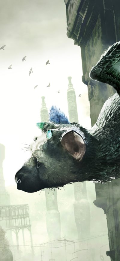 Fond d'écran iPhone The Last Guardian 4k