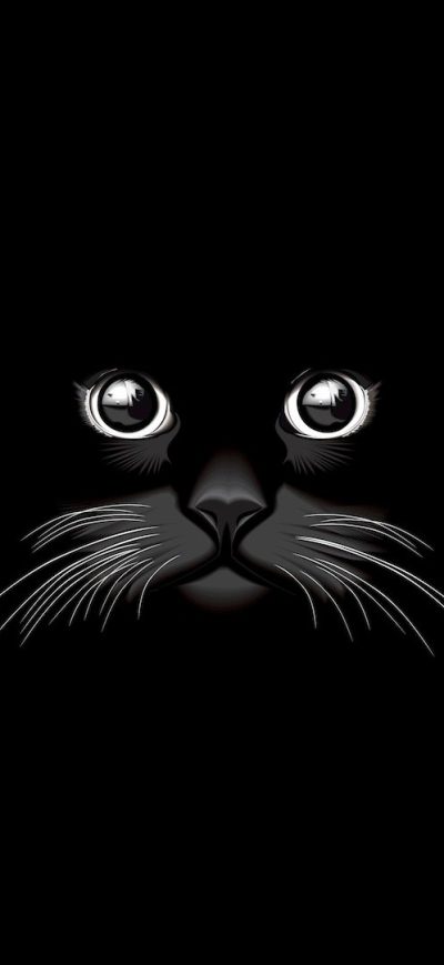 Fond d'écran Cat Vector sur iPhone