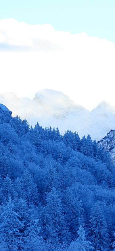 Fond d'écran iPhone Mountains Snow Fir Forest Winter