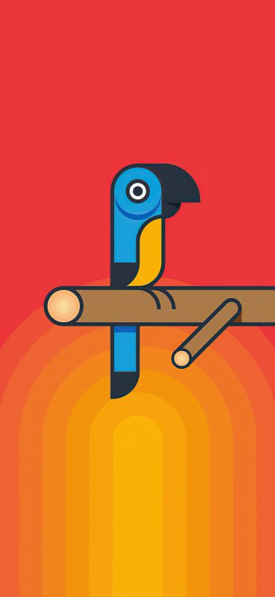 Fond d'écran iPhone Parrot Minimalism 5k