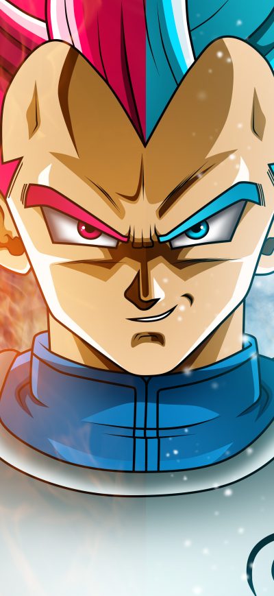 Fond d'écran iPhone Vegeta The Saiyan Prince 4k