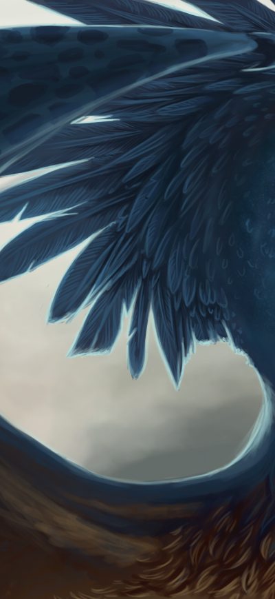 Fond d'écran iPhone Dragon Fantasy Art Feathers