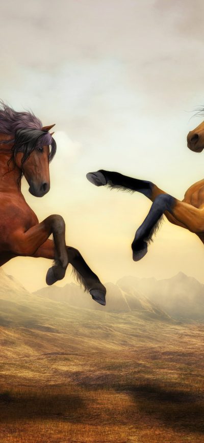 Fond d'écran iPhone Arabian Horse Artistic 4k