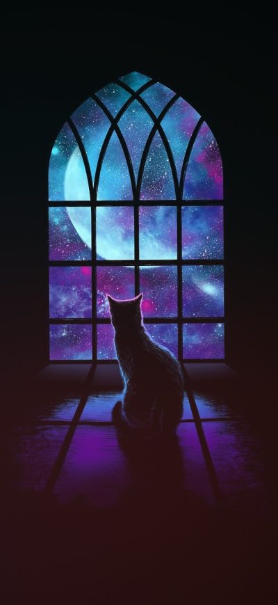 Fond d'écran iPhone Cat Looking Outside Window Minimalism Art
