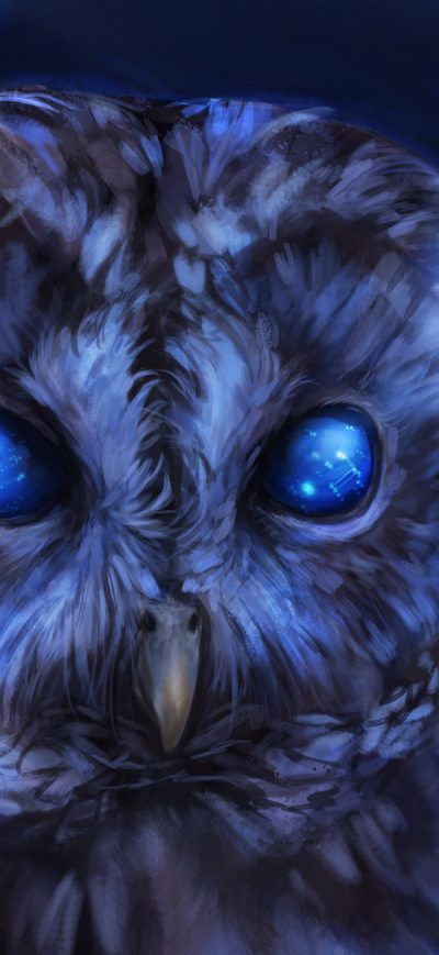 Fond d'écran iPhone Bared Owl