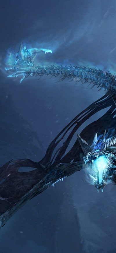 Fond d'écran iPhone World Of Warcraft Dragons