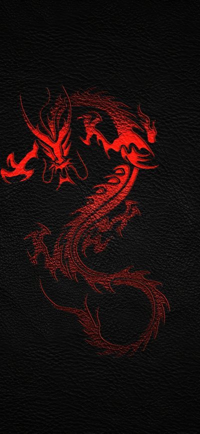 Fond d'écran iPhone Dragon Leather Background 4k