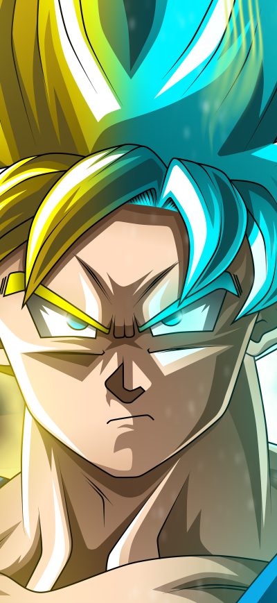 Fond d'écran iPhone Dragon Ball Super Goku HD