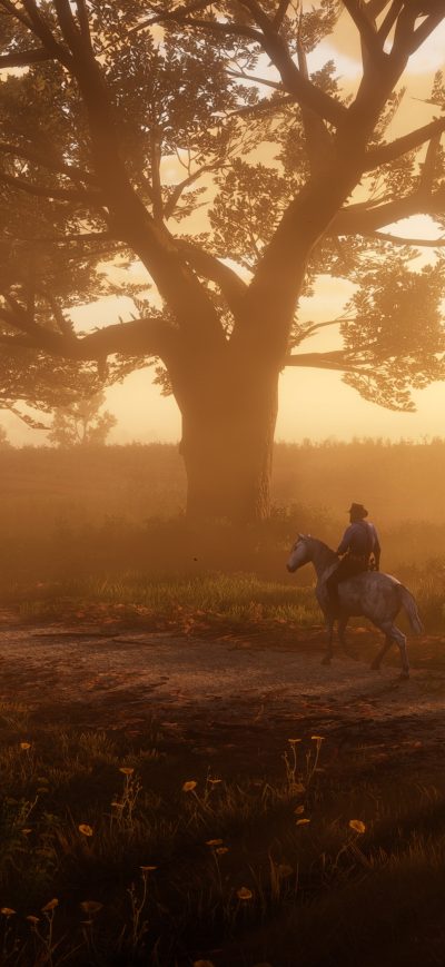 Fond d'écran iPhone Red Dead Redemption 2 The Path 5k