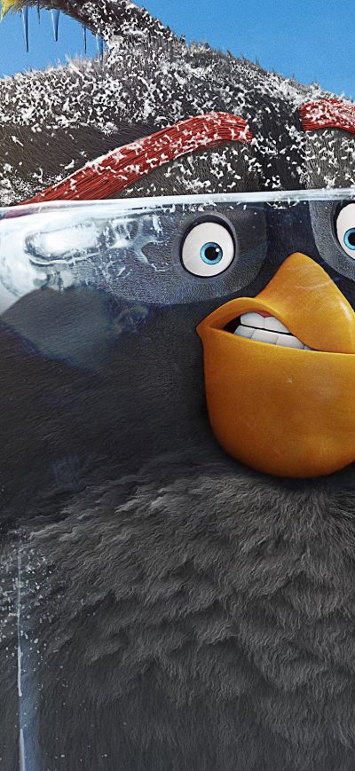 Fond d'écran iPhone Grey The Angry Birds Movie 2 2019