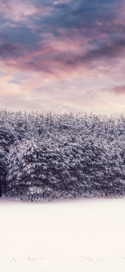 Fond d'écran iPhone Winter Nature Outdoors 8k