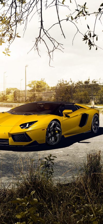 Fond d'écran Lamborghini Aventador LP 700 sur iPhone