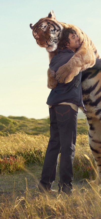 Fond d'écran iPhone Tiger hug