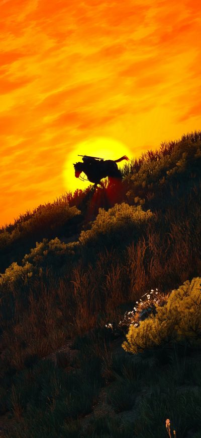 Fond d'écran iPhone 4k The Witcher 3 WIld Hunt