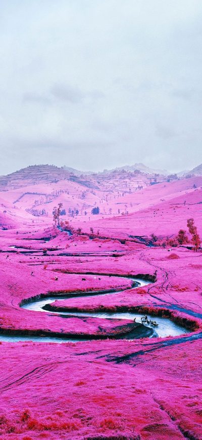 Fond d'écran iPhone Pink Field Democratic Republic Of The Congo