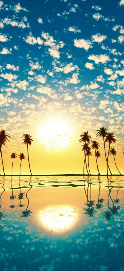 Fond d'écran iPhone Tree Horizon Sea Sunset 4k
