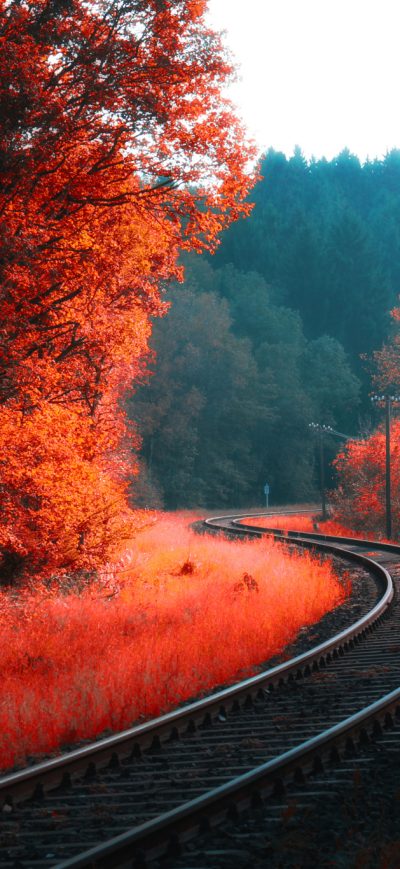 Fond d'écran iPhone Railway Autumn Forest