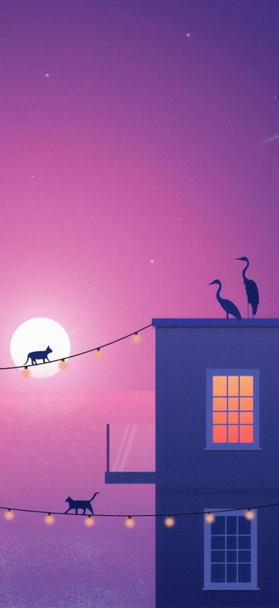 Fond d'écran iPhone Beach Animals 4k