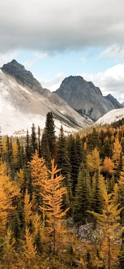 Fond d'écran iPhone Autumn In The Rockies