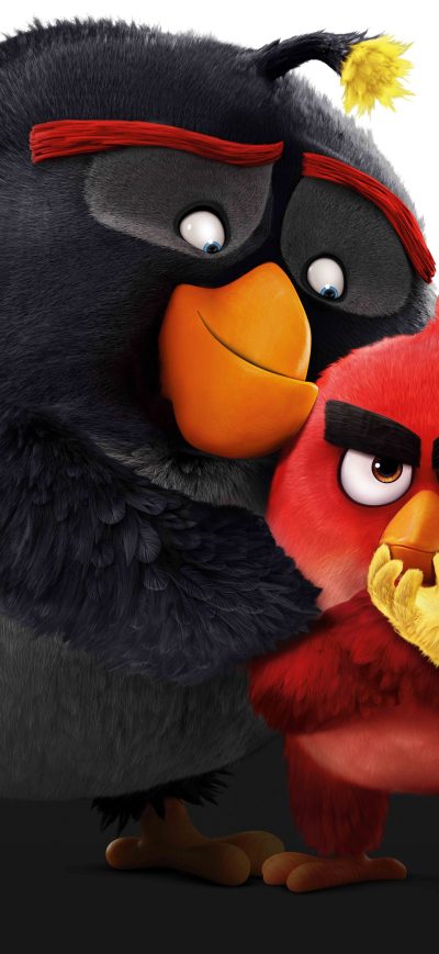 Fond d'écran iPhone The Angry Birds 8k