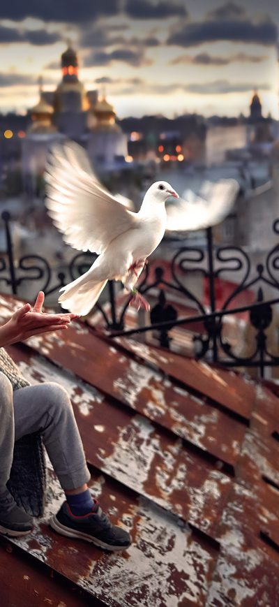 Fond d'écran iPhone Little Boy And Girl Pigeon Roof 4k