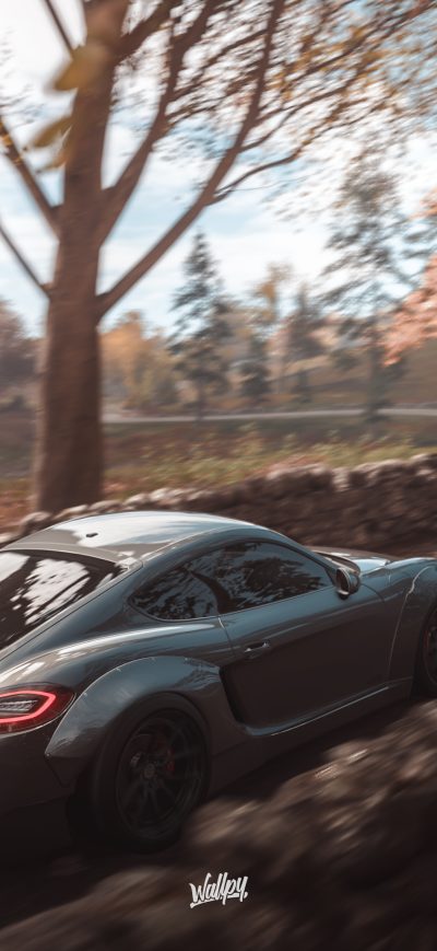 Fond d'écran iPhone Forza Horizon 4 Porsche 911 Cayman 4k