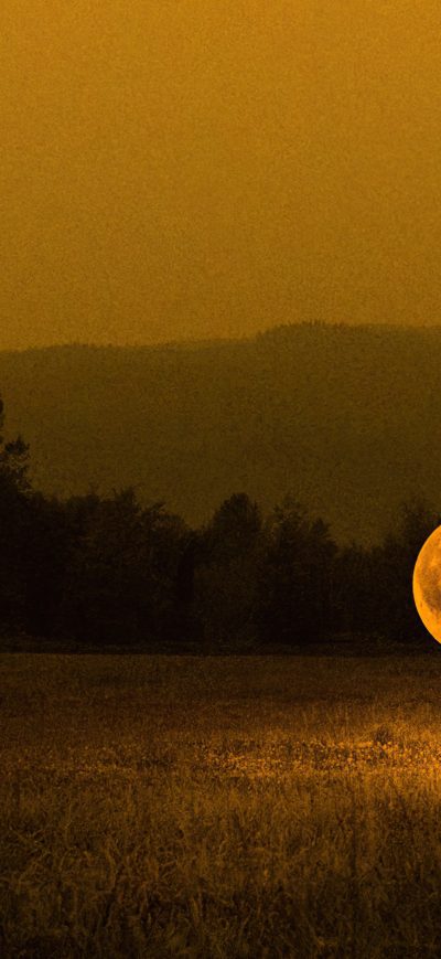 Fond d'écran iPhone Catching The Moon 4k