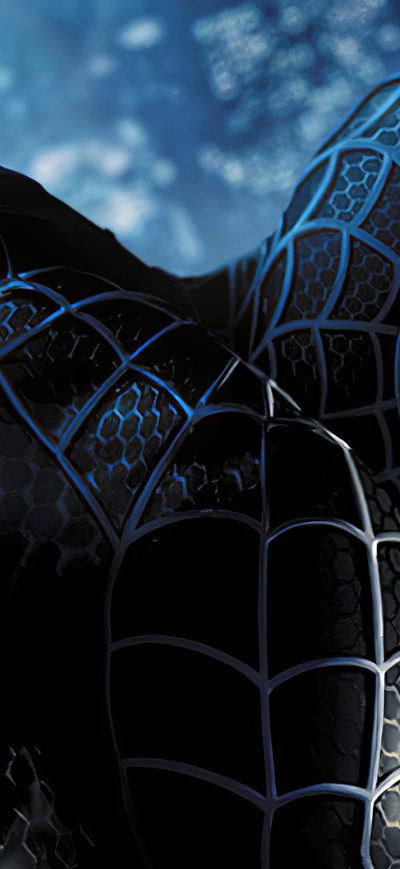 Fond d'écran iPhone Black Spider Man