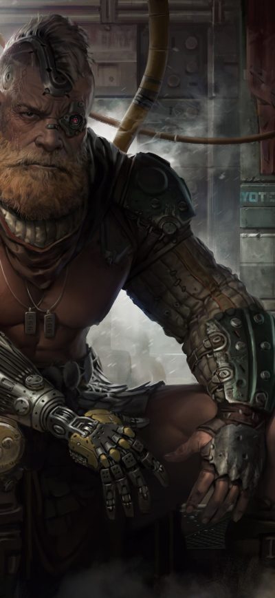 Fond d'écran Gladiator King Leo 4k sur iPhone