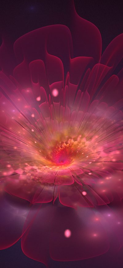Fond d'écran Dream Flower 4k sur iPhone