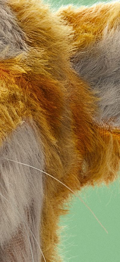 Fond d'écran iPhone Tigger In Christopher Robin 2018 Movie 5k
