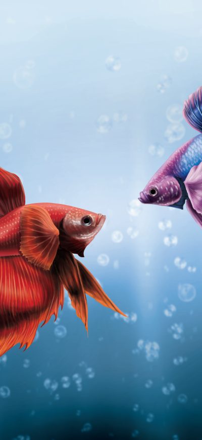 Fond d'écran iPhone Him And I Betta Fish