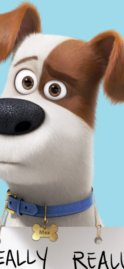 Fond d'écran iPhone Max In The Secret Life Of Pets