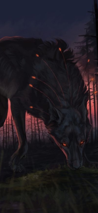 Fond d'écran iPhone Wolf Fantasy