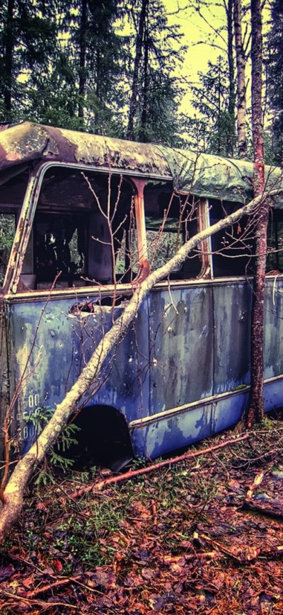 Fond d'écran iPhone Old Vintage Bus In Forest