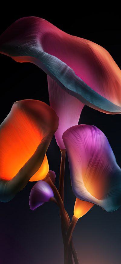 Fond d'écran iPhone Levitate Flowers Dark 5k